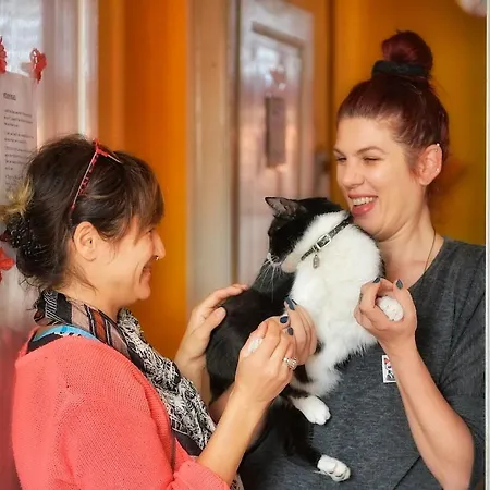 Old Town * ספליט