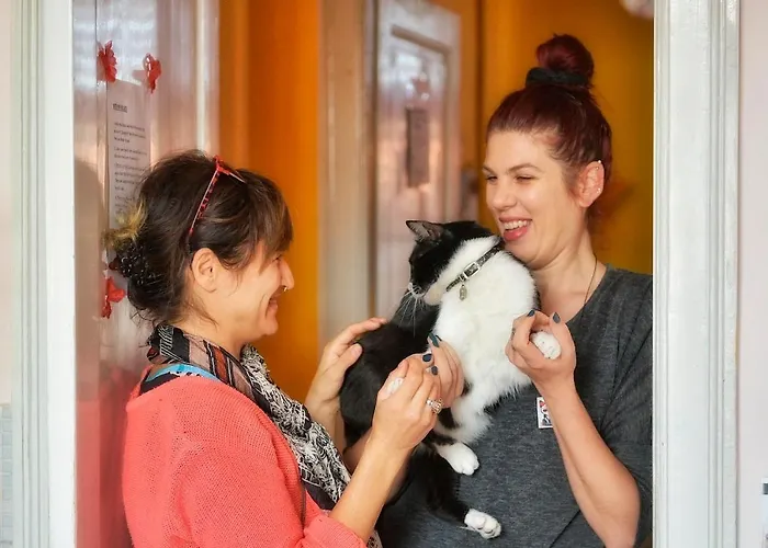 Old Town * Сплит